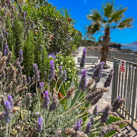 Paz Ocean View Luxury, Air Condition, Wifi, Heated Pool Appartamento *